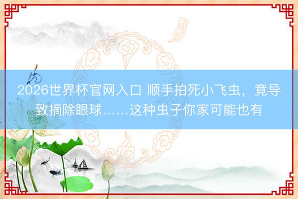 2026世界杯官网入口 顺手拍死小飞虫，竟导致摘除眼球……这种虫子你家可能也有