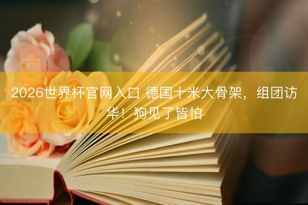 2026世界杯官网入口 德国十米大骨架,组团访华!狗见了皆怕