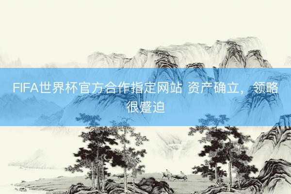 FIFA世界杯官方合作指定网站 资产确立，领略很蹙迫