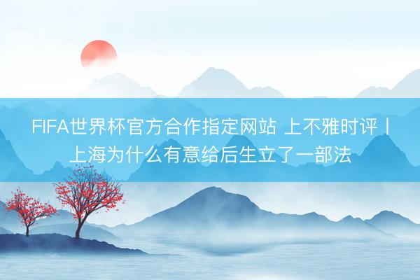 FIFA世界杯官方合作指定网站 上不雅时评丨上海为什么有意给后生立了一部法