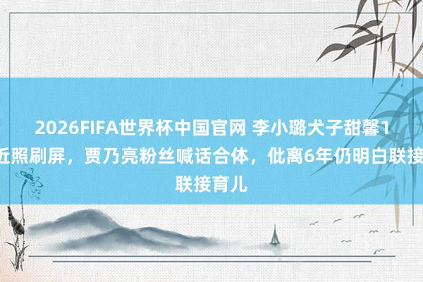 2026FIFA世界杯中国官网 李小璐犬子甜馨14岁近照刷屏,贾乃亮粉丝喊话合体,仳离6年仍明白联接育儿